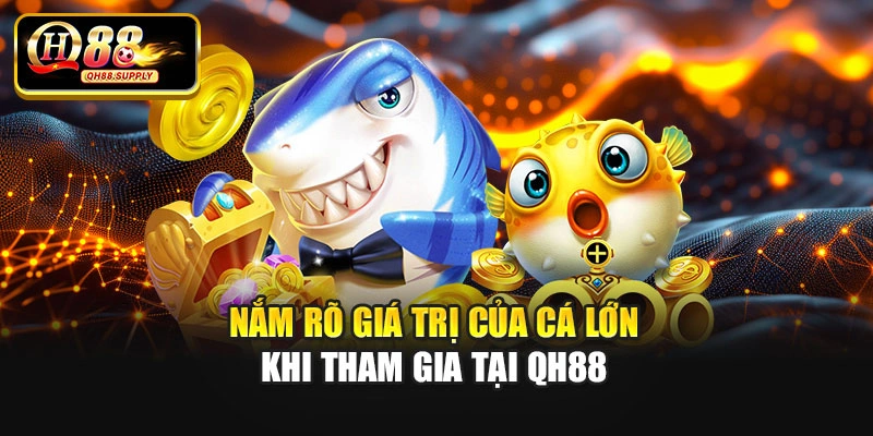 Nắm rõ giá trị của cá lớn khi tham gia tại Qh88